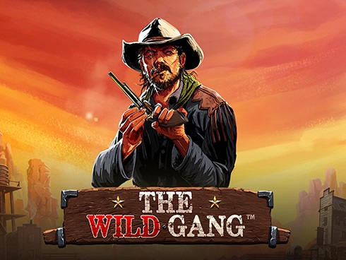 la critique du the-wild-gang